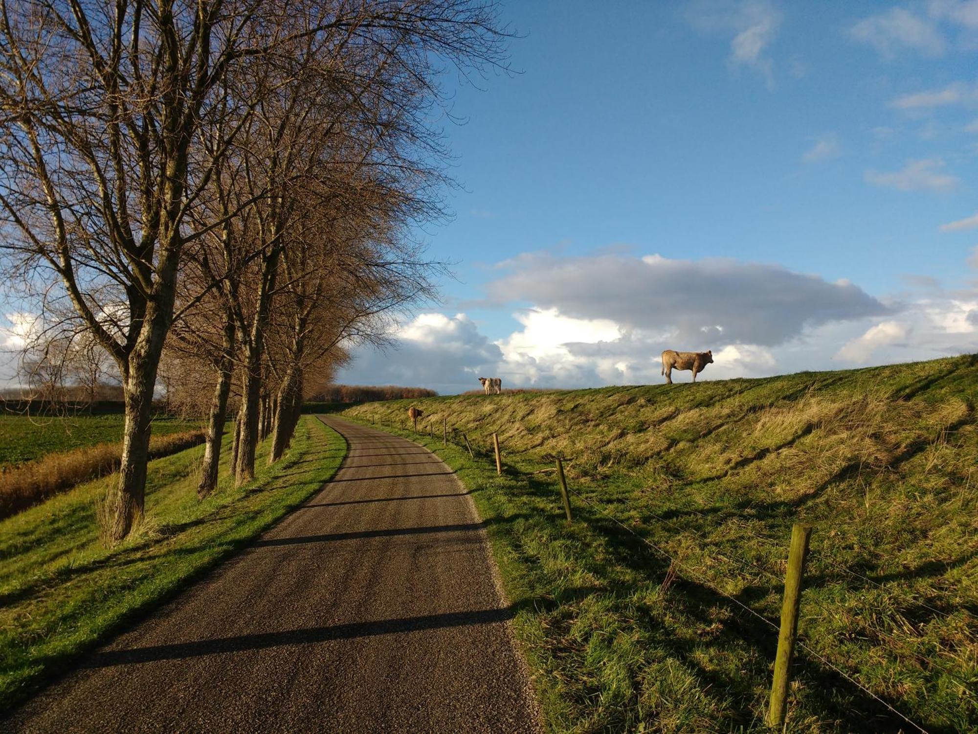 Studio Sturjalland Sirjansland 外观 照片